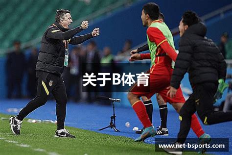 登录器 买球官网