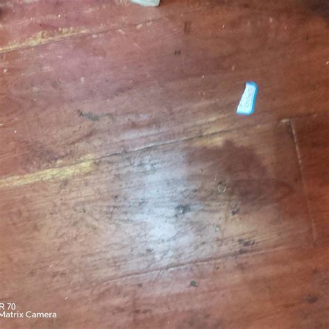 登录器 买球官网